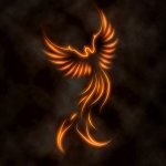 Martin__33